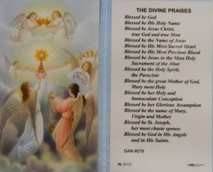 Divine Praises Laminated Holy Card - Our Daily Bread Catholic Gifts